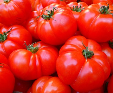 Die einfachste und beste Tomatensauce